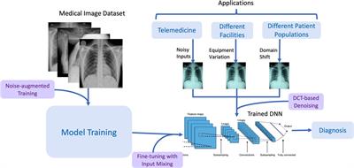 RoMIA: a framework for creating Robust Medical Imaging AI models for chest radiographs